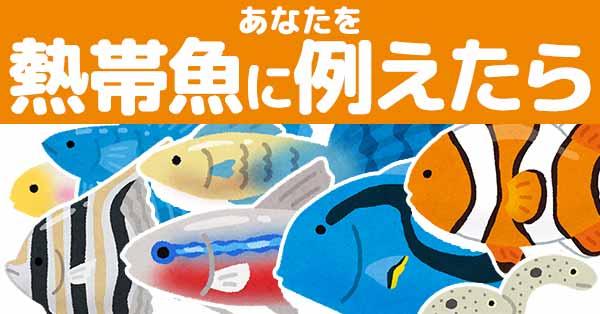 あなたを熱帯魚に例えたら!