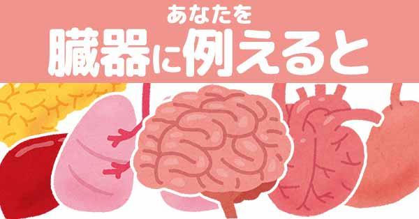 あなたを臓器に例えると!!