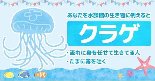 クラゲ