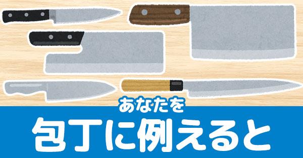 あなたを包丁に例えると!!