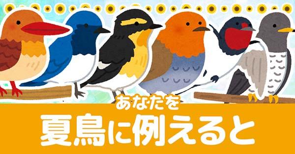 あなたを夏鳥に例えると！！