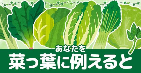 あなたを菜っ葉に例えると 診断ドットコム あなたを菜っ葉に例えると 診断ドットコム