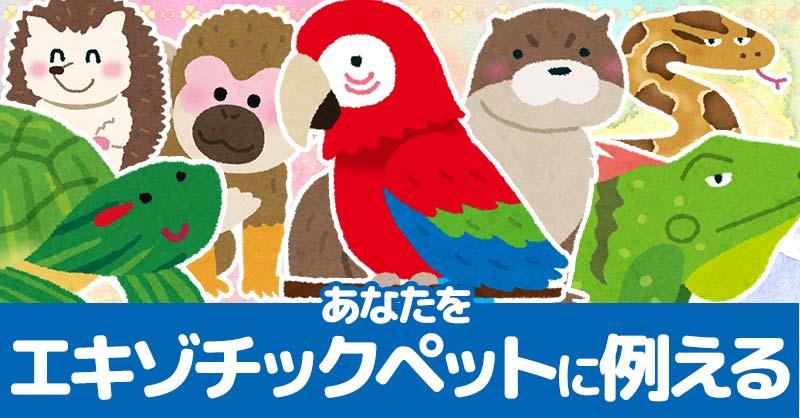 エキゾチックペットとは何ですか?