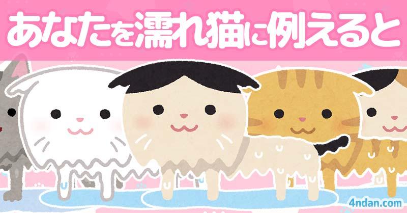あなたを濡れ猫に例えると！！