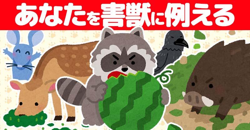 あなたを害獣に例えると！！